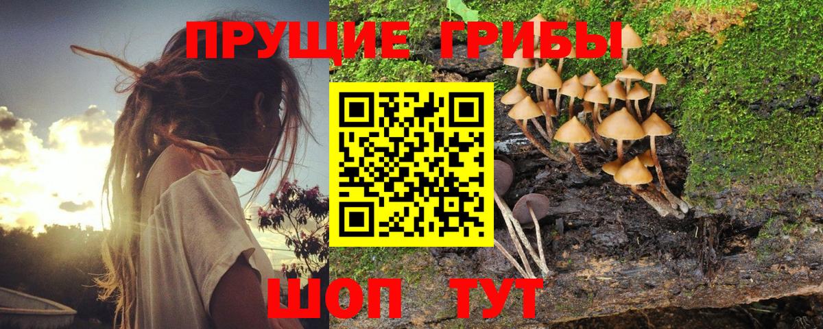 Псилоцибиновые грибы MAGIC MUSHROOMS  Галлюциногенные грибы Magic Shrooms  Вход с VPN  Сарапул 