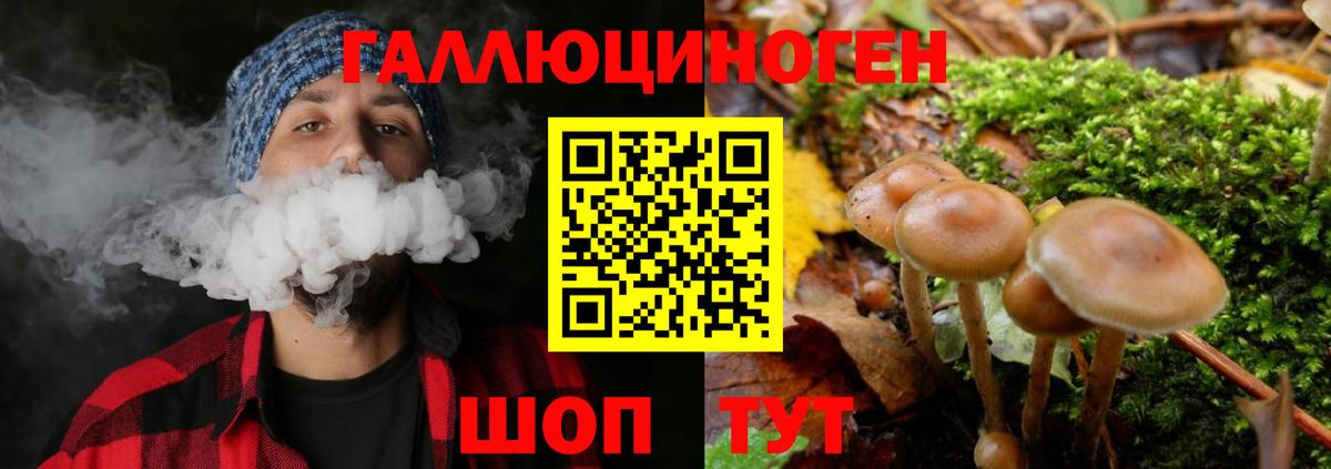 Псилоцибиновые грибы мухоморы Сарапул